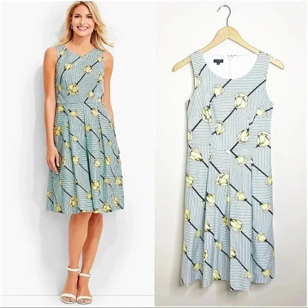 Talbots Sleeveless Fit Flare Floral Stripe Dress Size 2